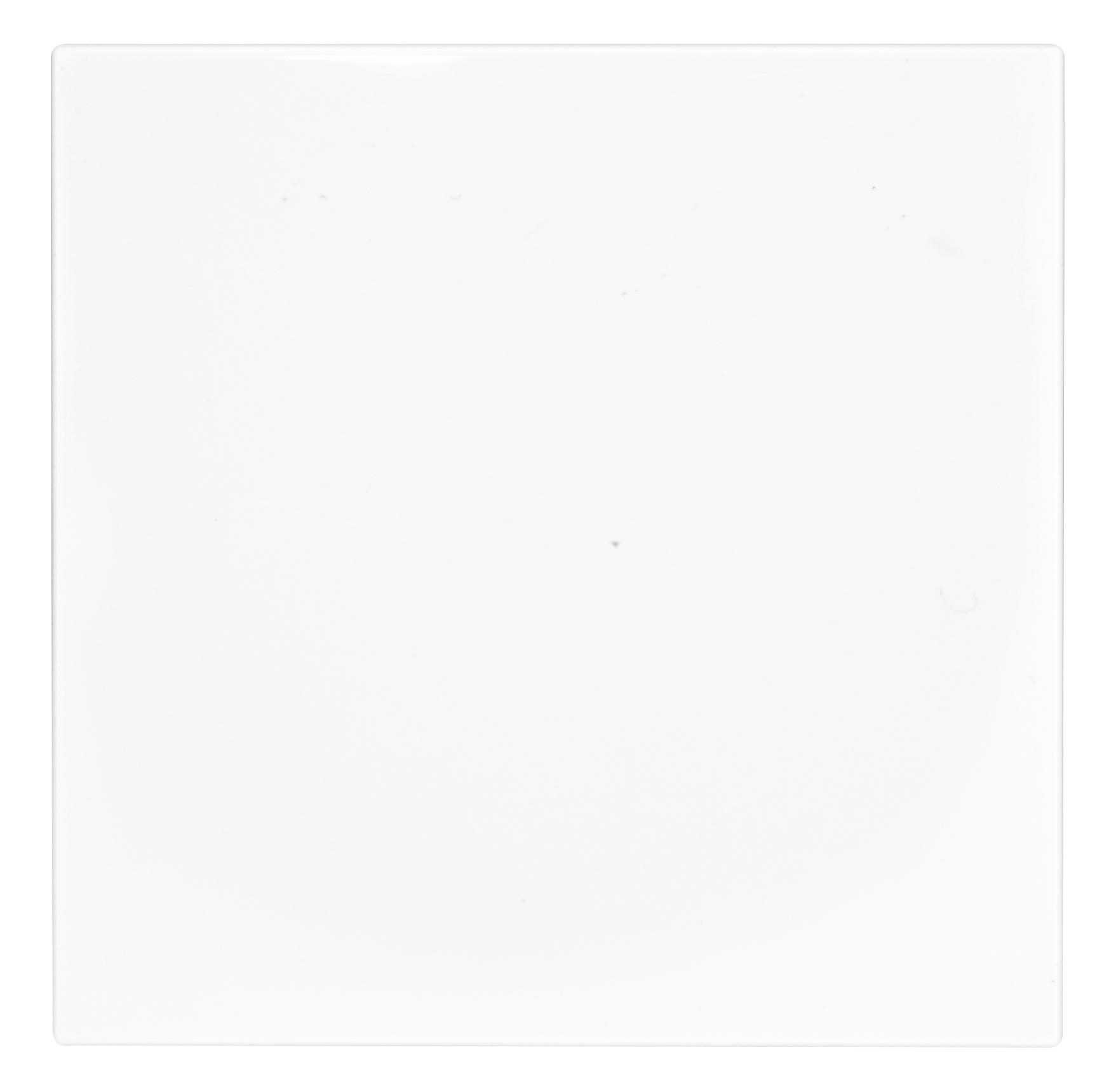 OPUS® 55 Flächenwippe für OPUS BRiDGE und Wandsender-Modul ohne Symbol polarweiß OPUS® 55 Flächenwippe für OPUS BRiDGE und Wandsender-Modul ohne Symbol polarweiß