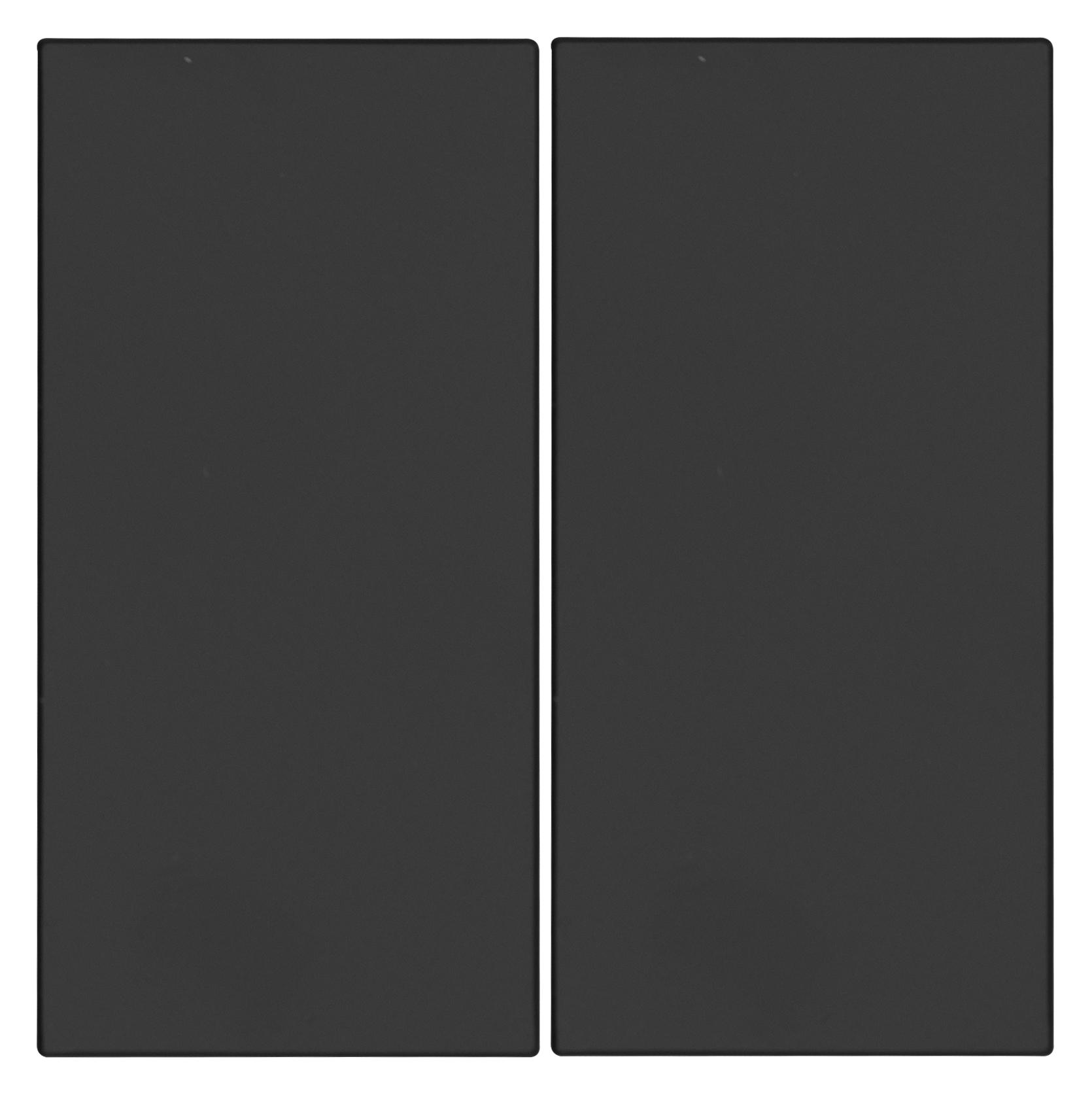 OPUS 55 Serienwippe für Wandsender-Modul,o.Symbol,anthr-seidengl.