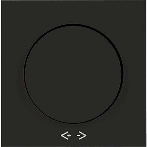 Plus 55 Drehdimmer Abdeckung matt schwarz