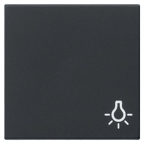Gira Wippe mit Symbol 'Licht' schwarz matt 0285005