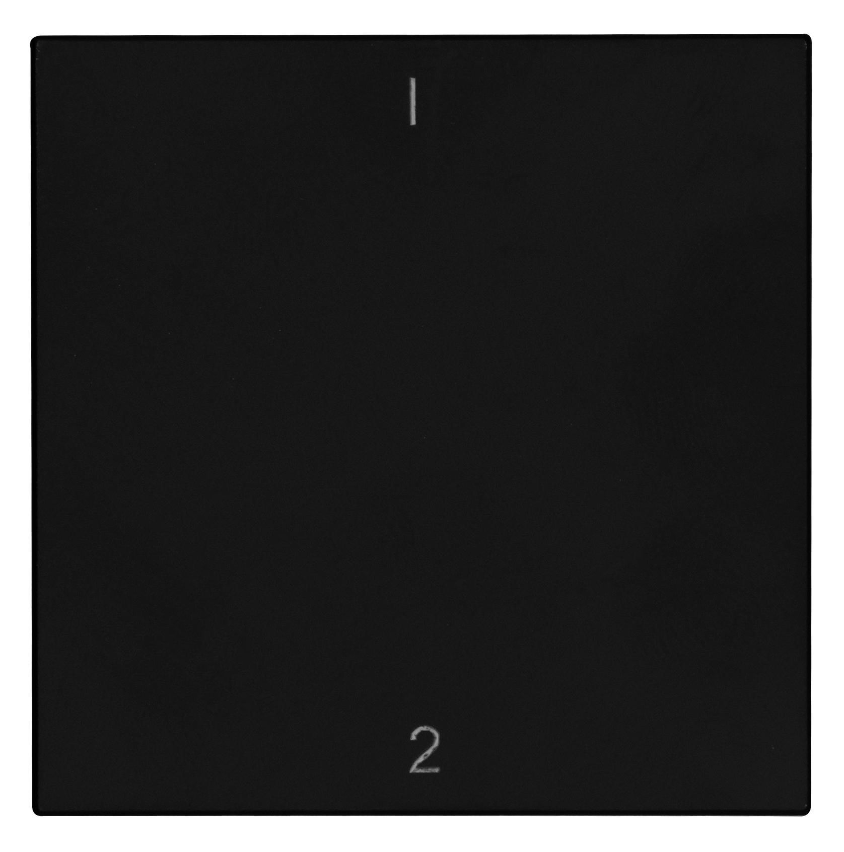 OPUS 55 Flächenwippe für BRiDGE und Wandsender-Modul mit 1/2 mattschwarz OPUS 55 Flächenwippe für BRiDGE und Wandsender-Modul mit 1/2 mattschwarz