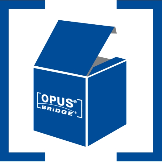 OPUS® 55 BRiDGE Paketlösung Lichtsteuerung Serienschaltung mit 2 Wandsendern