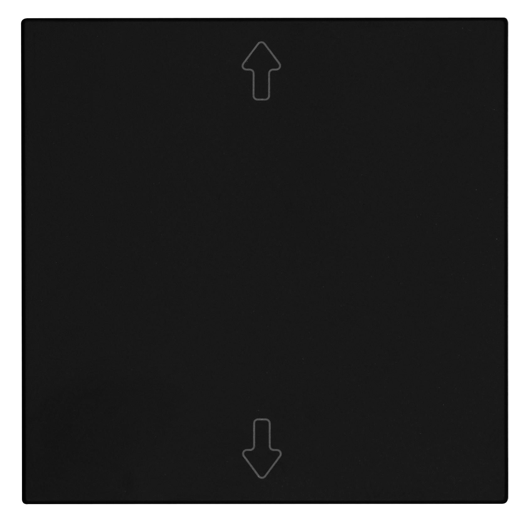 OPUS 55 Flächenwippe für BRiDGE und Wandsender-Modul mit Pfeil mattschwarz OPUS 55 Flächenwippe für BRiDGE und Wandsender-Modul mit Pfeil mattschwarz