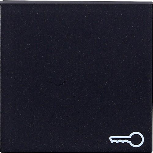 Gira Wippe mit Symbol 'Tür' schwarz matt 0287005
