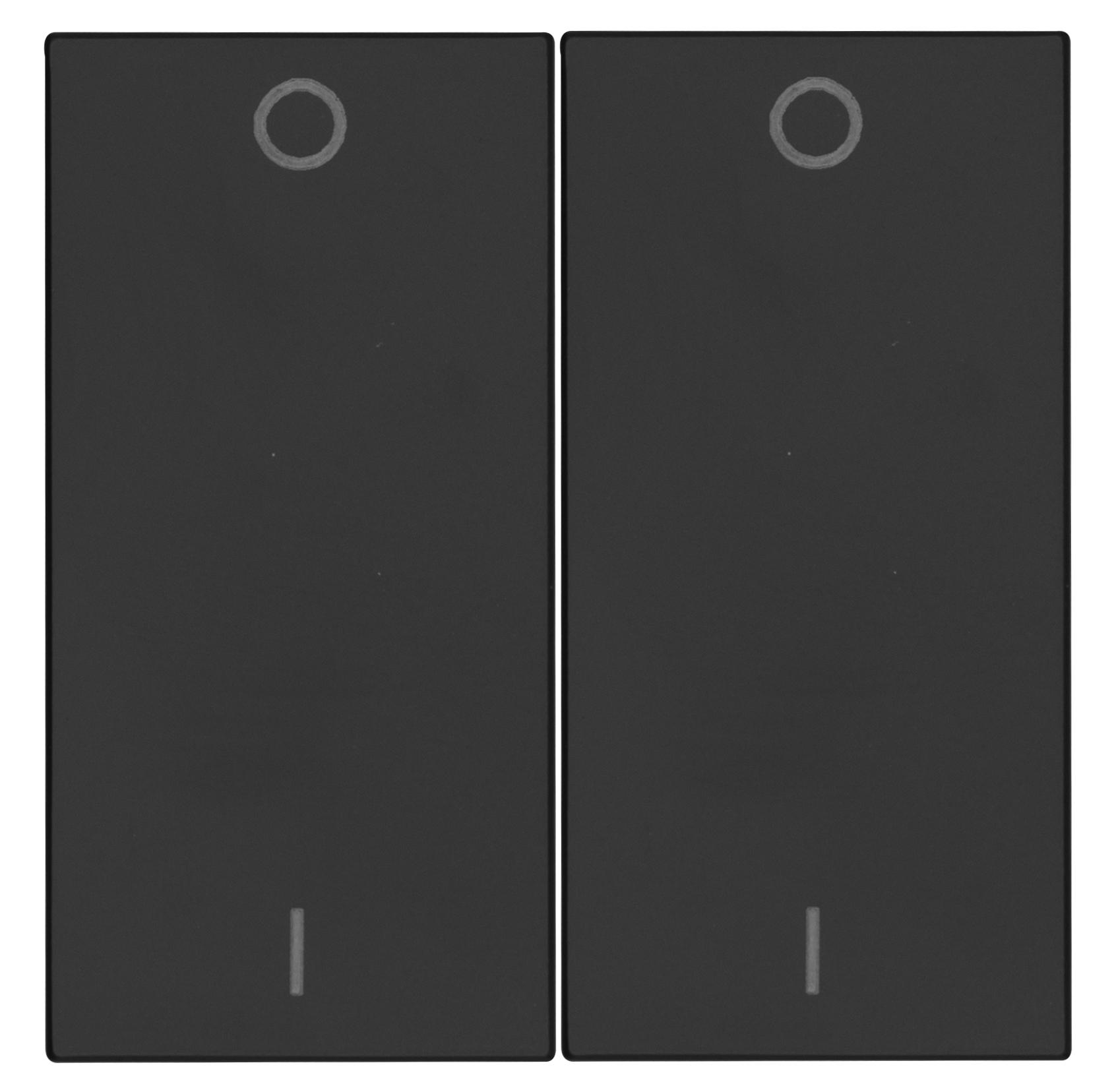 OPUS 55 Serienwippe für Wandsender-Modul,m. I/O,anthr-seidenglanz OPUS 55 Serienwippe für Wandsender-Modul,m. I/O,anthr-seidenglanz