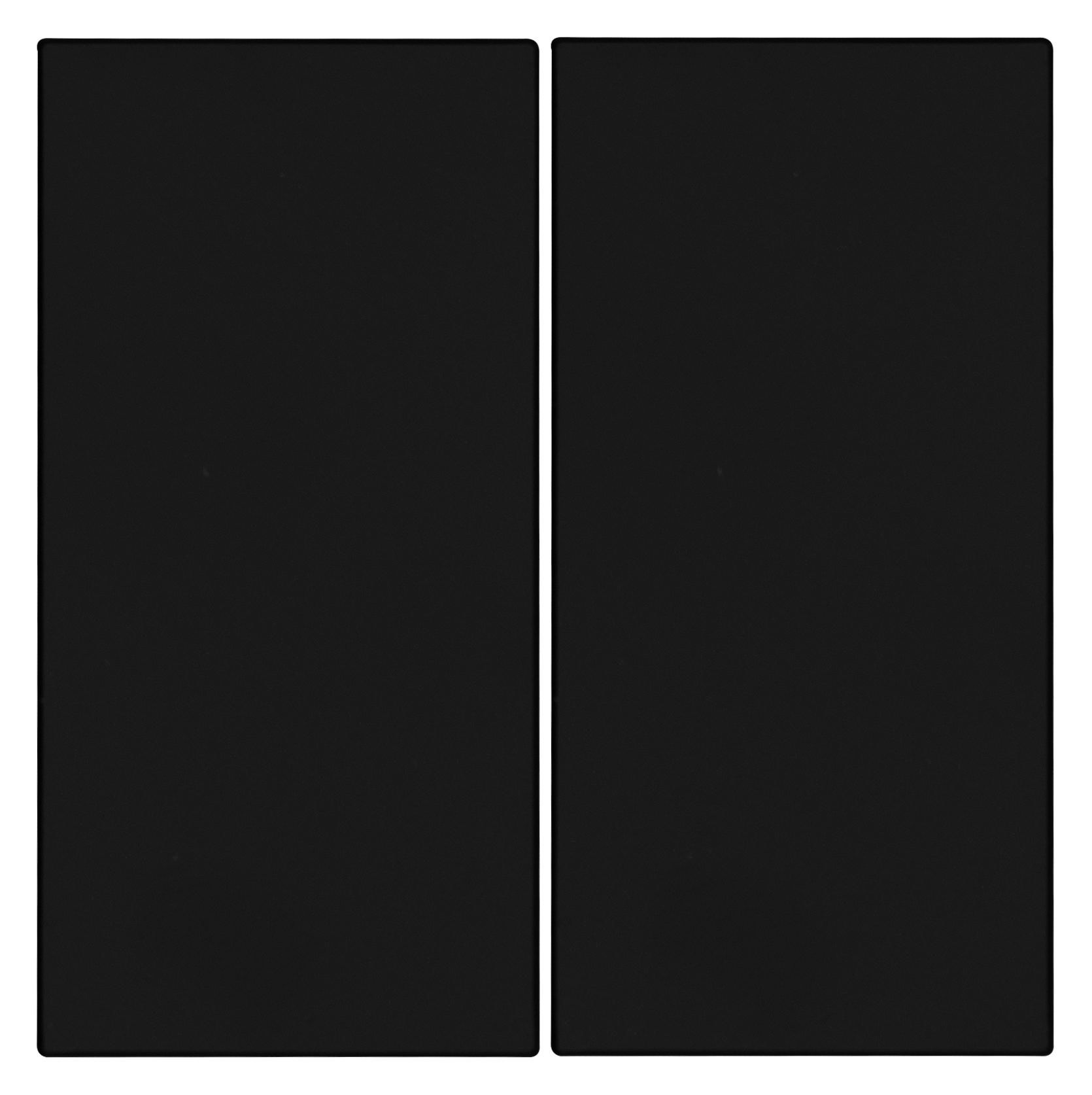 OPUS 55 Serienwippe für BRiDGE und Wandsender-Modul mattschwarz OPUS 55 Serienwippe für BRiDGE und Wandsender-Modul mattschwarz