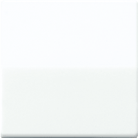 Jung-AS591 Wippe für Schalter und Taster weiß