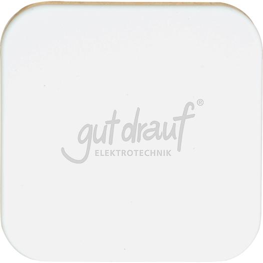 561_449_02-0101_n5252ab8e89253 Flächenwippe für Wandsender-Modul,ohne Symbole, alpinweiß