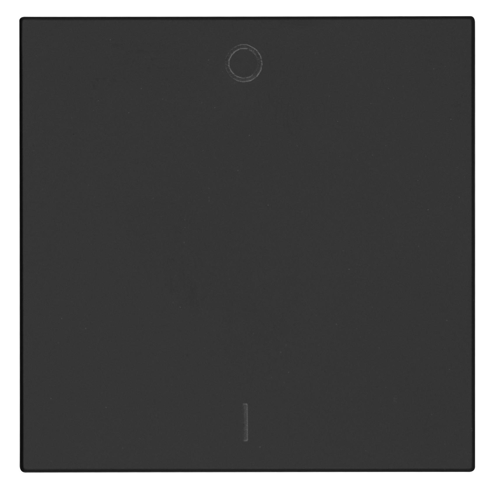 OPUS® 55 Flächenwippe für OPUS BRiDGE und Wandsender-Modul mit I/0 anthrazit - seidenglanz OPUS® 55 Flächenwippe für OPUS BRiDGE und Wandsender-Modul mit I/0 anthrazit - seidenglanz