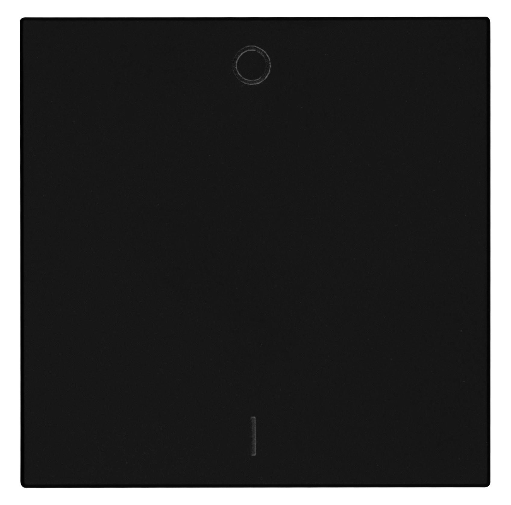 OPUS 55 Flächenwippe für BRiDGE und Wandsender-Modul mit I/0 mattschwarz OPUS 55 Flächenwippe für BRiDGE und Wandsender-Modul mit I/0 mattschwarz