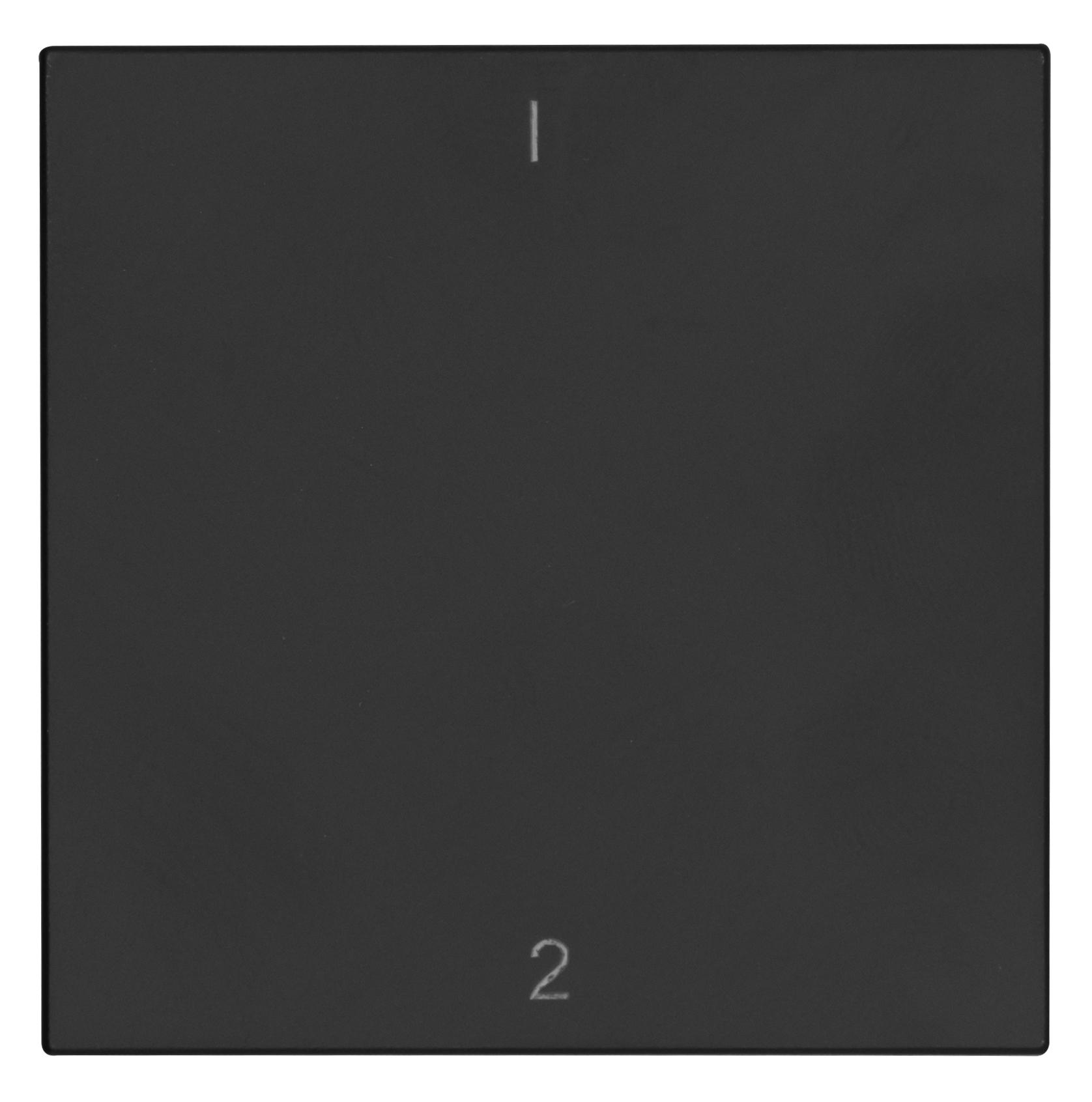 OPUS® 55 Flächenwippe für OPUS BRiDGE und Wandsender-Modul mit 1/2 anthrazit - seidenglanz OPUS® 55 Flächenwippe für OPUS BRiDGE und Wandsender-Modul mit 1/2 anthrazit - seidenglanz