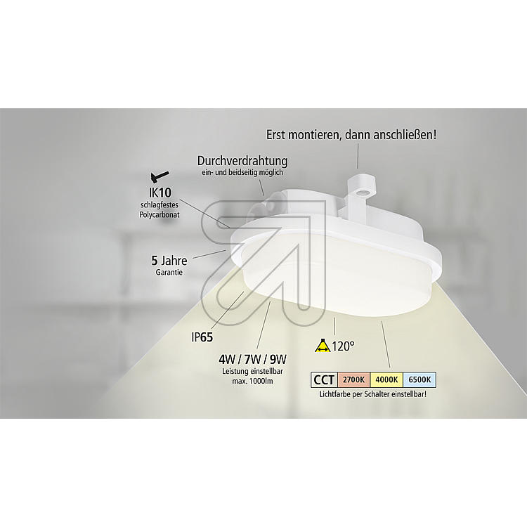 EGB LED Ovalarmatur IP65 4-9W + CCT, weiß 2700/4000/6500K - 4W/7W/9W einstellbar